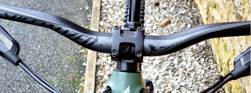 Specialized Levo Expert Carbon - Spruce/ Sage Green - Large - Ex.Demo-10