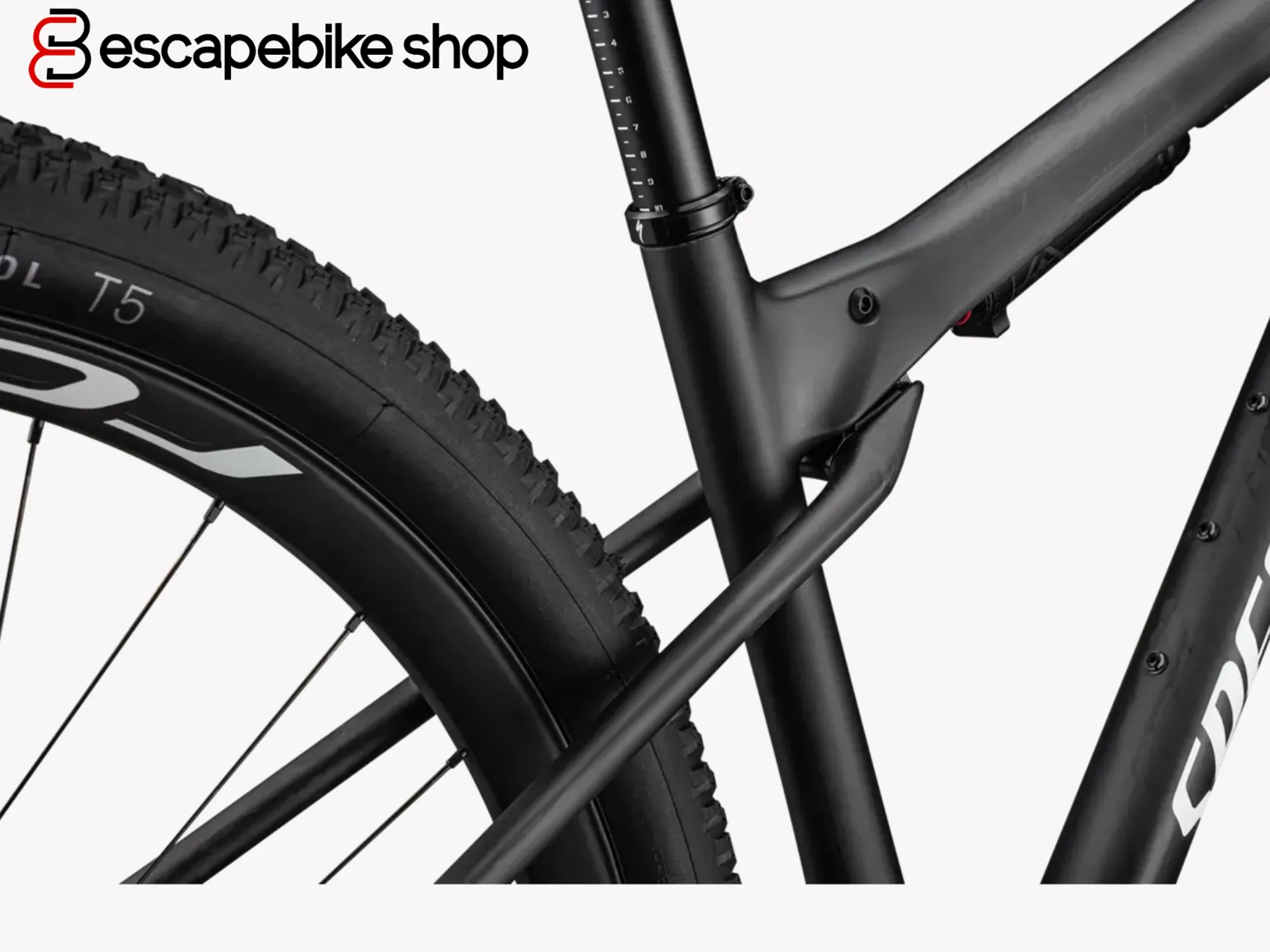 Specialized epic frame hotsell