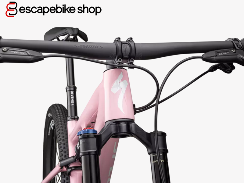 Specialized Epic Pro LTD Mountain Bike -  Desert Rose/ White Silver-4