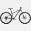 Specialized Rockhopper Comp KH 29 Mountain Bike - Satin Oak Green
