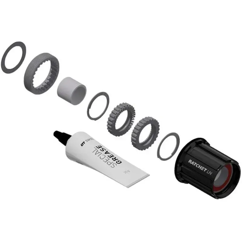 DT Swiss Pawl to Ratchet LN 36 Tooth Conversion Kit in Black-3