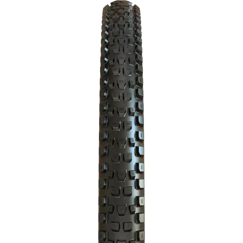 Maxxis Dissector G2 3C MaxxTerra Double Down TR - Black-1