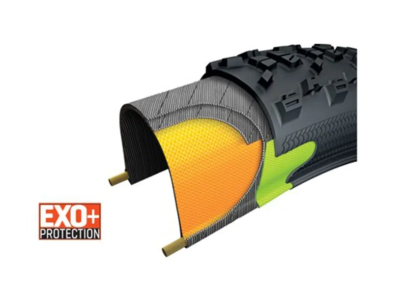 Maxxis EXO+ tyre protection
