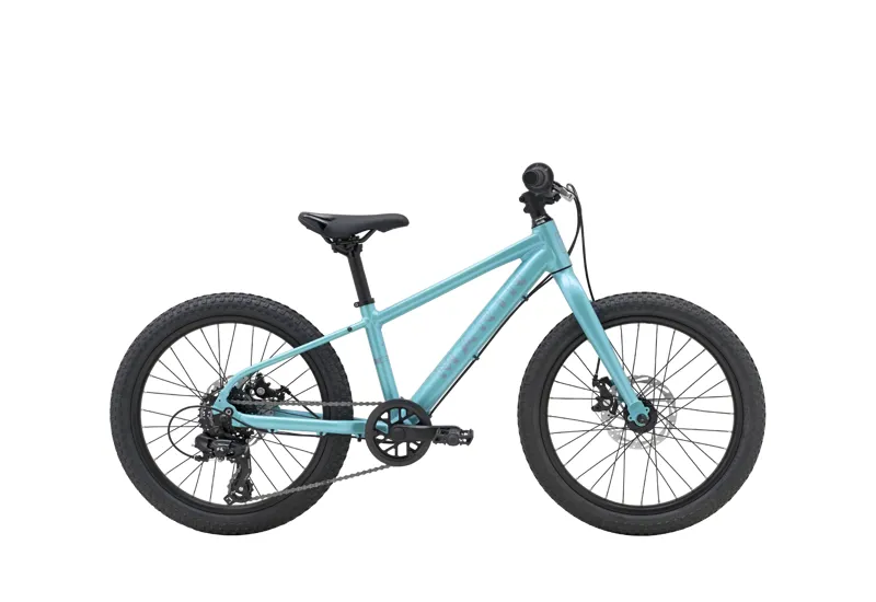 Marin Bayview Trail 20 Junior Mountain Bike - Gloss Teal/ Silver