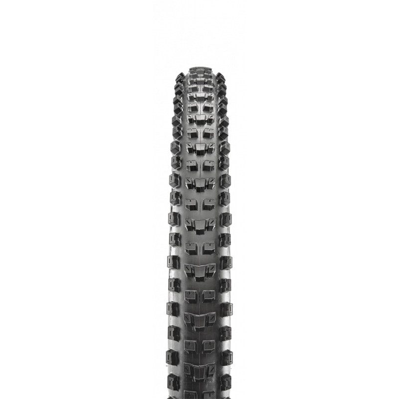 Maxxis Dissector 3C MaxxTerra TR EXO+ Folding Tyre-1