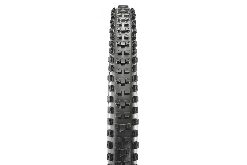 Maxxis Dissector 3C MaxxTerra/ EXO/ TR Mountain Bike Tyres - Black-2