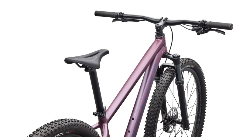 Specialized Rockhopper Expert - Satin Quartz Metallic/ Mauve Metallic-3