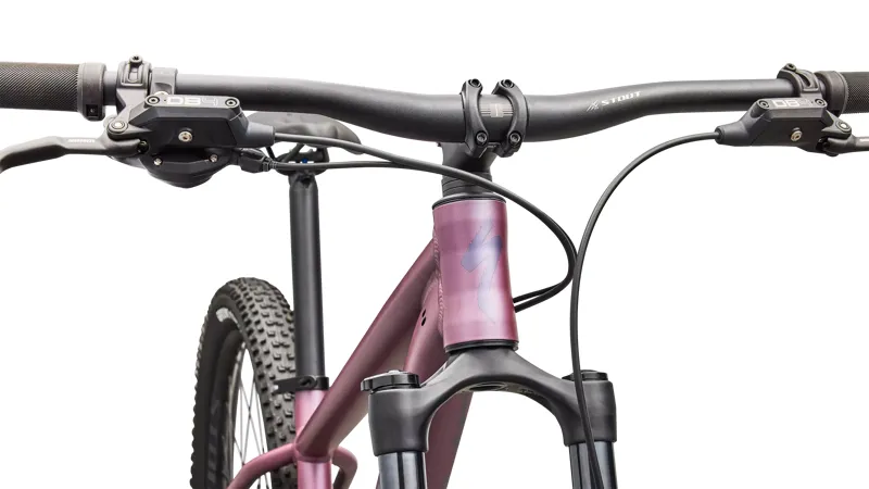 Specialized Rockhopper Expert - Satin Quartz Metallic/ Mauve Metallic-4