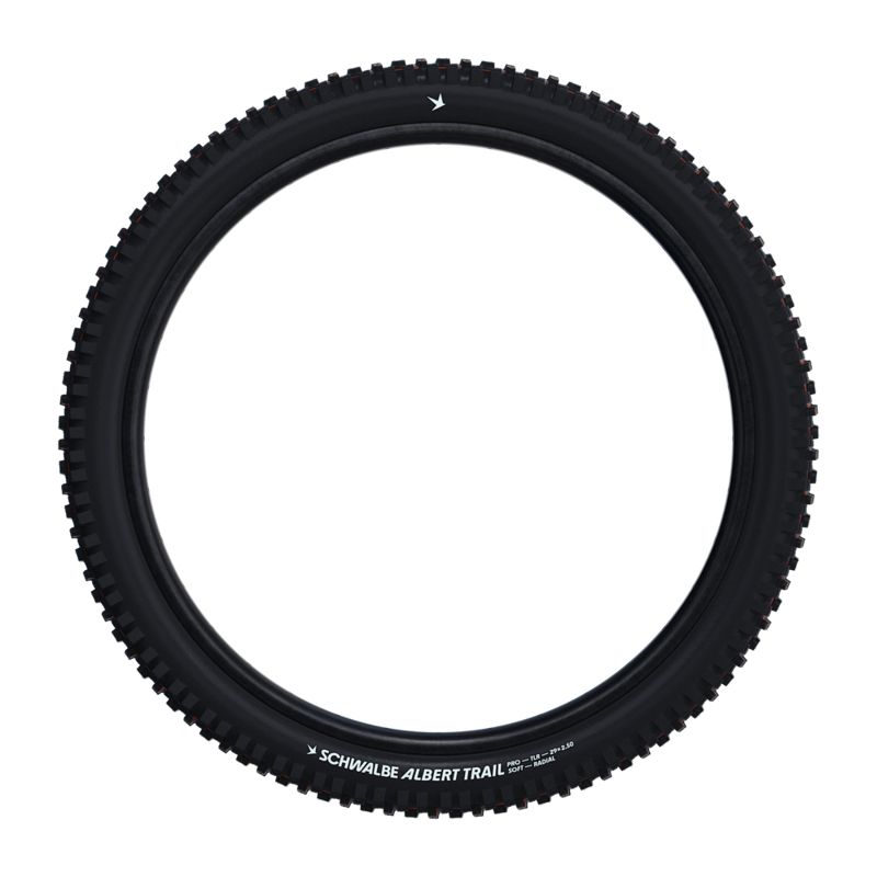 Schwalbe Albert Radial Gravity Pro Folding EVO TLR Tyres - Black-2