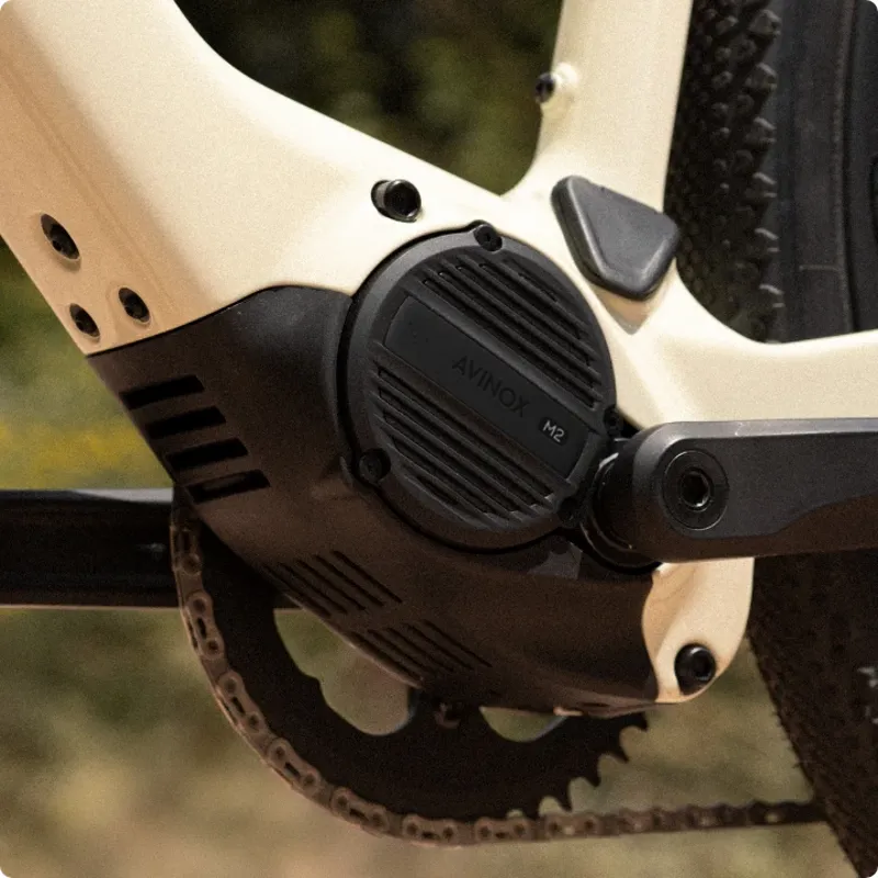 Megamo Along 10 Avinox E.Gravel Bike - Gloss Sand-2