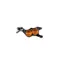 Hope E4 2022 Caliper Complete - Black/ Orange