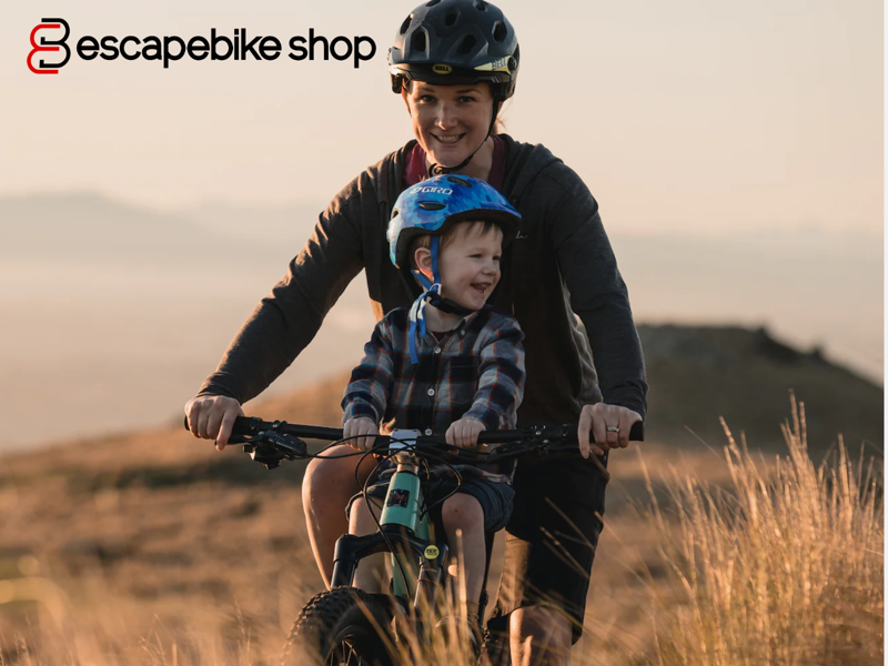 Kids Ride Shotgun 2.0 Child Bike Seat-2