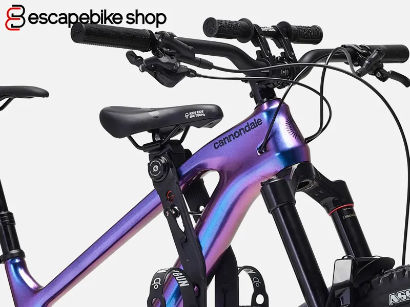 Kids Ride Shotgun 2.0 Child Bike Seat And Handlebars Combo