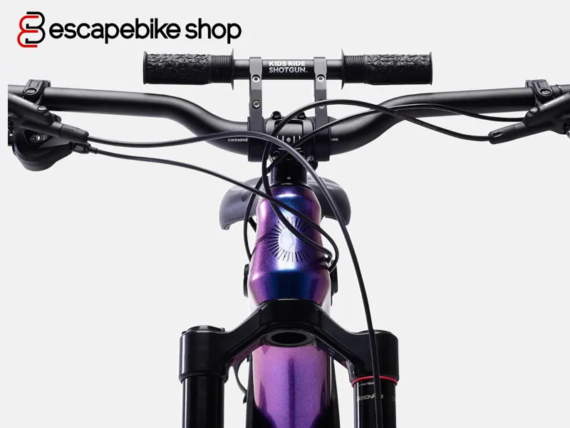 Kids Ride Shotgun 2.0 Child Bike Seat Handlebars