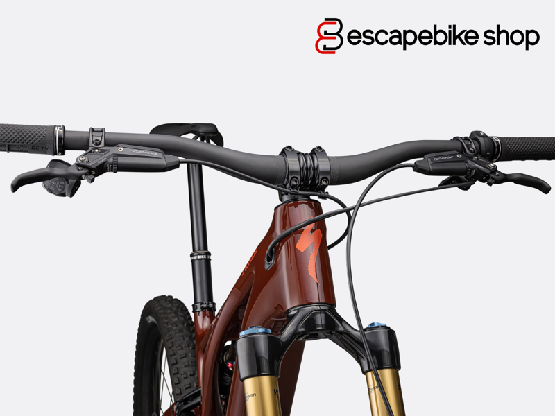 Specialized Levo Pro Carbon Mountain E.Bike - Gloss Rusted Red/Redwood-4