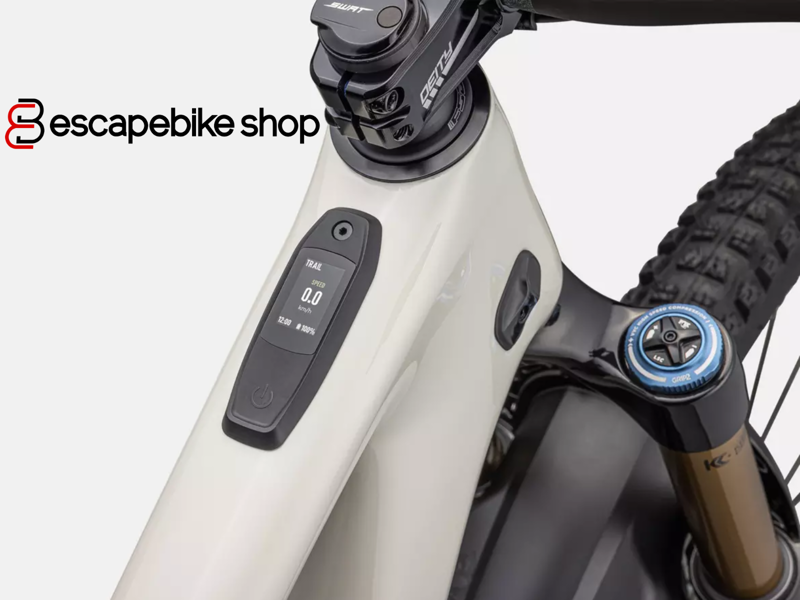 Specialized S-Works Turbo Levo SL - White Mountains/ Gunmetal/ Silver-9