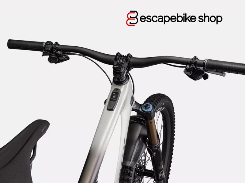 Specialized S-Works Turbo Levo SL - White Mountains/ Gunmetal/ Silver-4