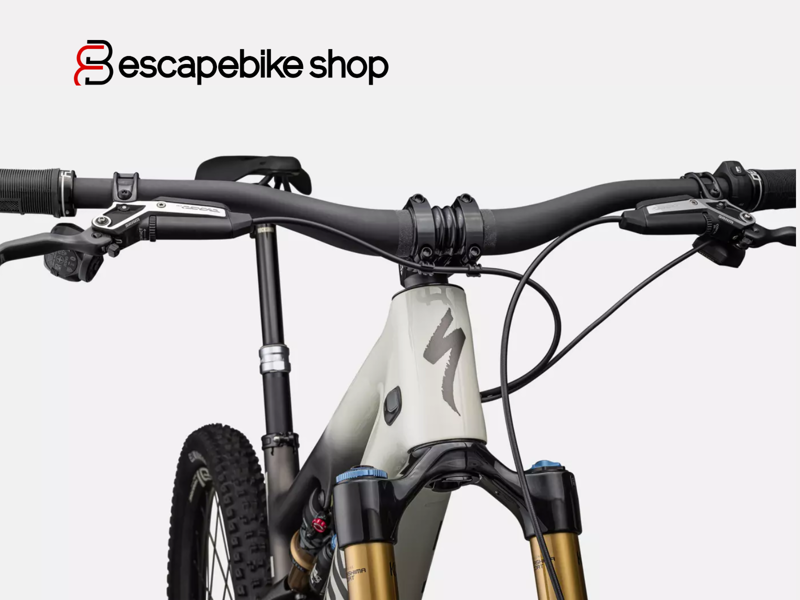 Specialized S-Works Turbo Levo SL - White Mountains/ Gunmetal/ Silver-5