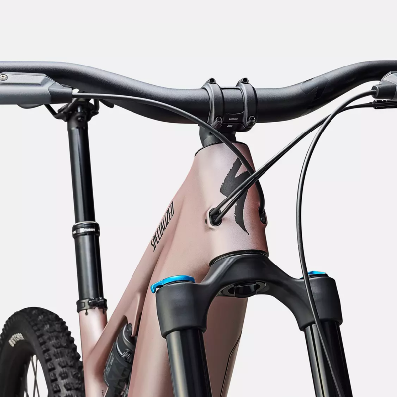 Specialized Levo 4 Comp E.Mountain Bike - Satin Champagne/ Obsidian-4