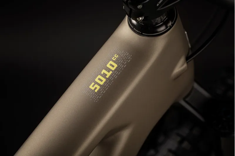 Santa Cruz 5010 CC V5 Frame - Matte Nickel-5