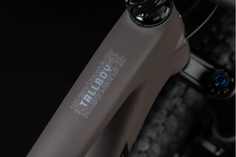 Santa Cruz Tallboy CC V5 Frame - Matte Taupe-4