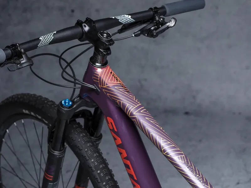 DYEDBRO Frame Protection - Stay Free - Colour-2