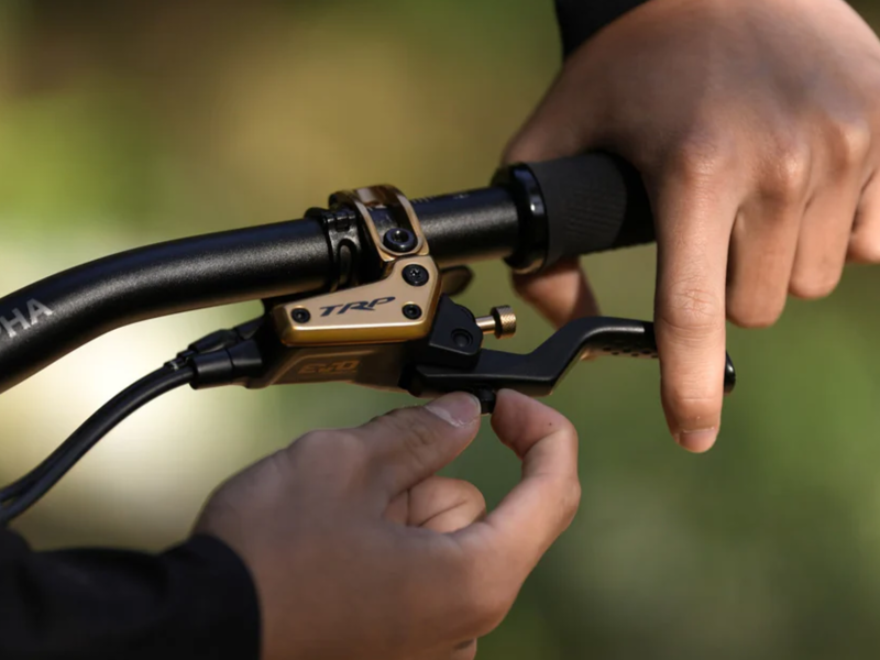 TRP EVO Pro Disc Brakes - Gold-1