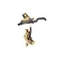 TRP EVO Pro Disc Brakes - Gold