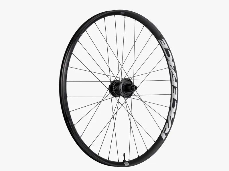 Race Face Turbine EMTB 30mm Alloy Wheels - Black-1