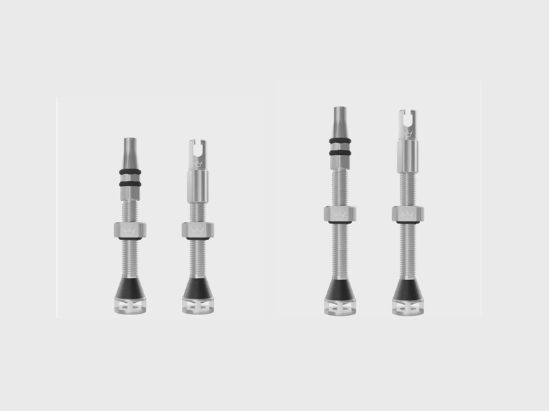 Peaty's Holeshot Fast Flow Tubeless Valves - Silver