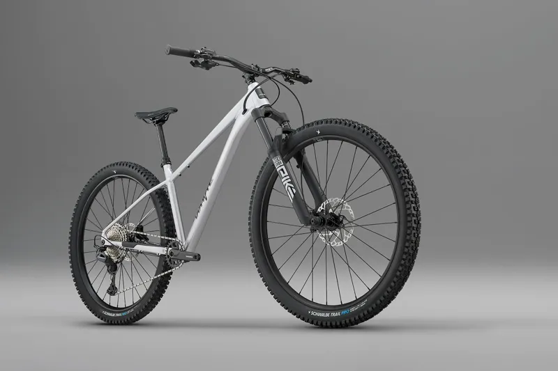 Whyte Secta RSX V1 Hardtail Mountain Bike - Gloss Raw silver-2
