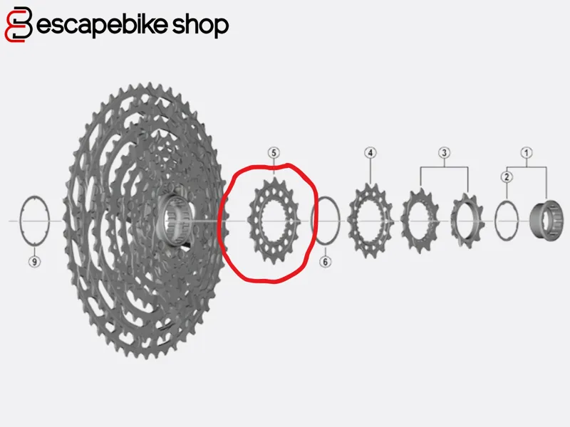 Shimano CS-M9100 Sprocket 16 Teeth
