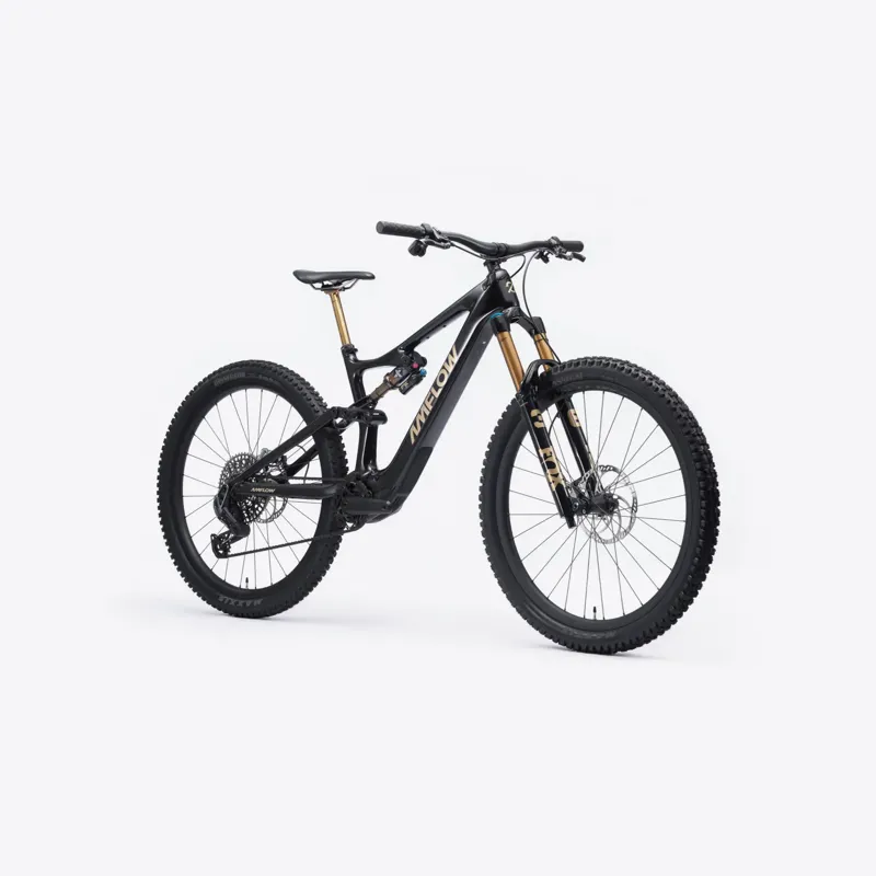 Amflow PL Carbon Pro 800Wh E.Mountain Bike - Cosmic Black-1