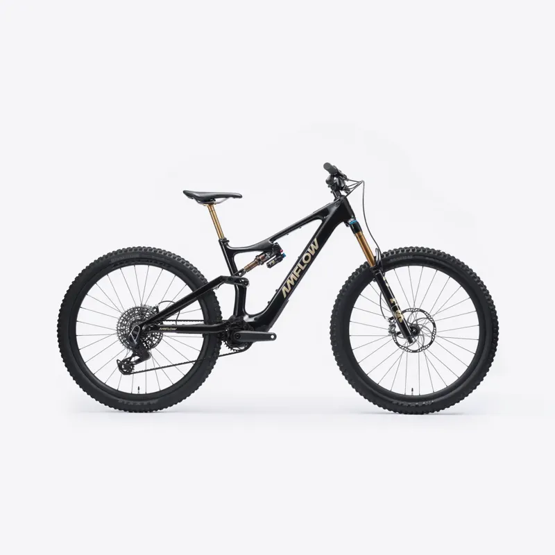 Amflow PL Carbon Pro 800Wh E.Mountain Bike - Cosmic Black