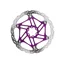 Hope V4 Vented 6 Bolt Floating Rotor - Purple