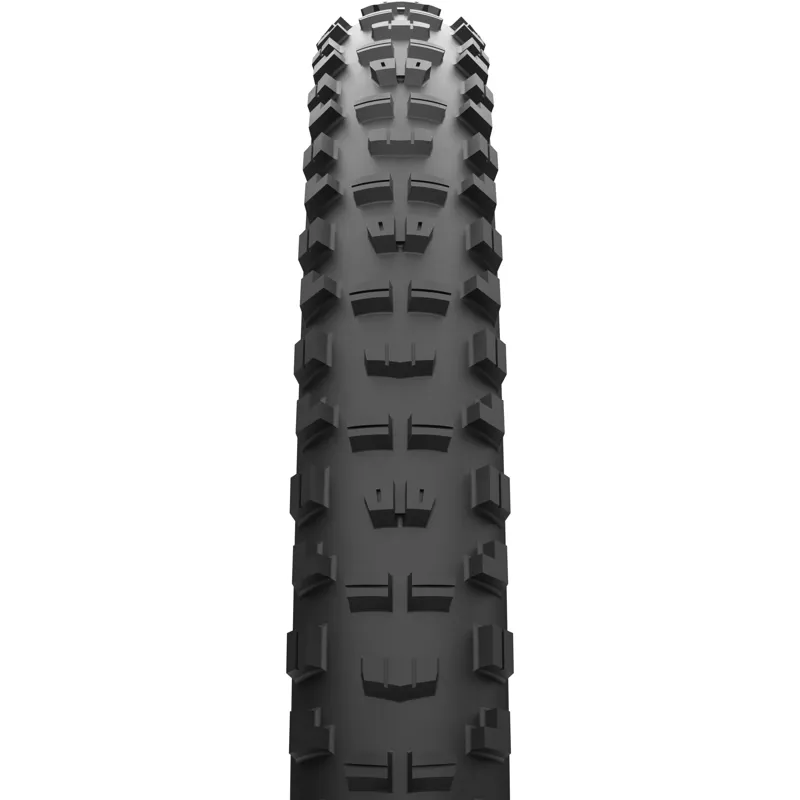 Maxxis Minion DHR II MaxxTerra 60TPI EXO+ TR Tyres - Black-1