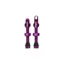 Hope Tubeless Valves - Purple