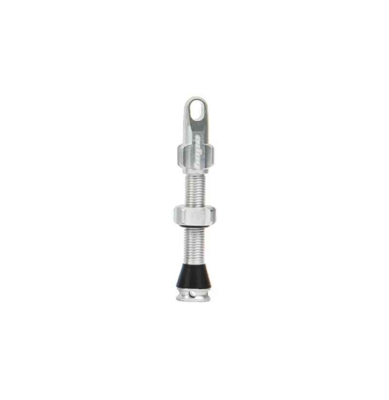 Hope Tubeless Valves - Silver-2