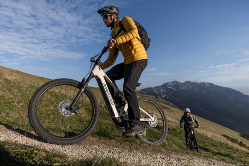 Amflow TL Carbon SUV Hybrid E.MTB - Silica Beige-5