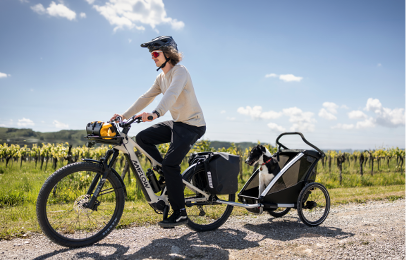 Amflow TL Carbon SUV Hybrid E.MTB - Silica Beige-7